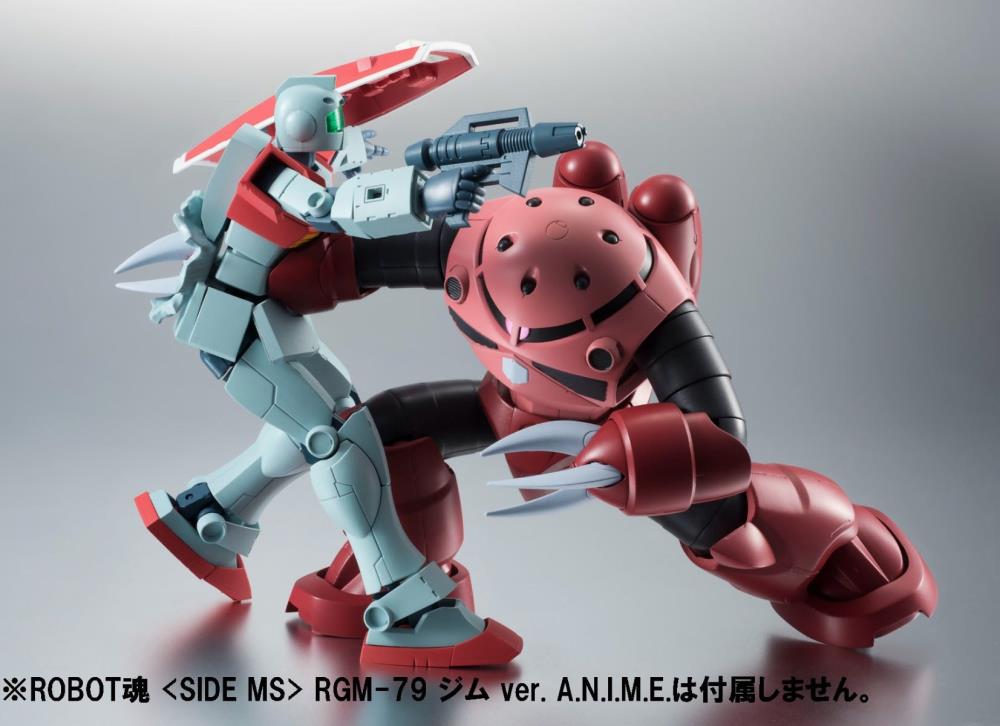 Robot Spirits Mobile Suit Gundam - MSM-07S Z'Gok Char's Custom Model (ver. ANIME)