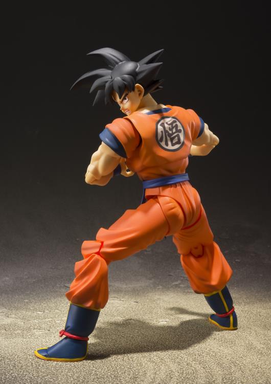 SH Figuarts Dragon Ball Son Goku A Saiyan Raised on Earth