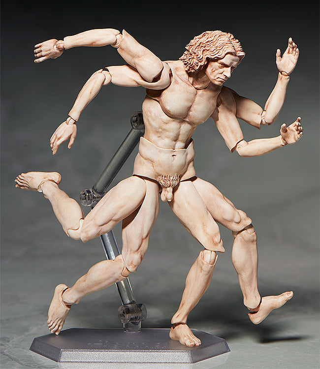 Figma The Table Museum Vitruvian Man